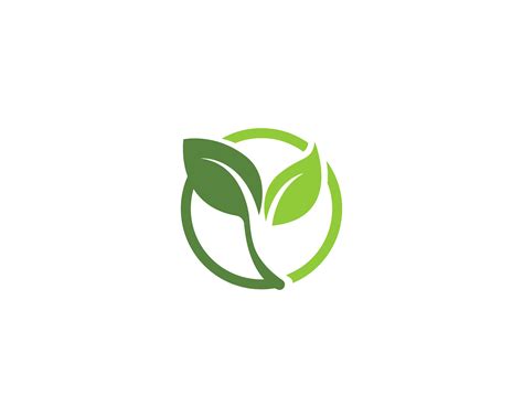 Eco logo vector